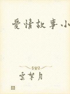 爱情故事小说