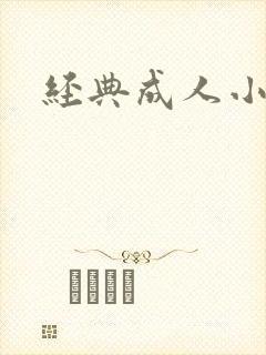 经典成人小说封面