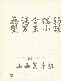 无法合拢的总裁双男主小说