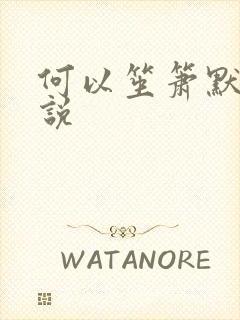 何以笙箫默 小说