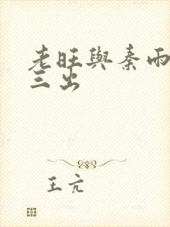 老旺与秦雨三进三出封面