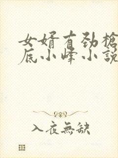 女婿有劲枪枪到底小峰小说