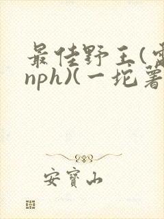 最佳野王(电竞nph)(一坨薯饼)_无拼音封面