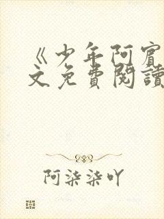 《少年阿宾》全文免费阅读