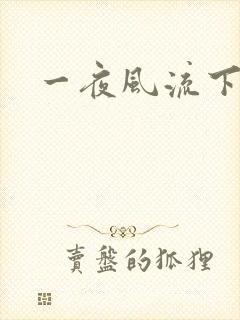 一夜风流下载