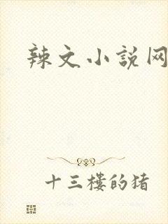 辣文小说网
