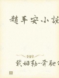 赵平安小说主角