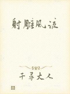 射雕风流封面