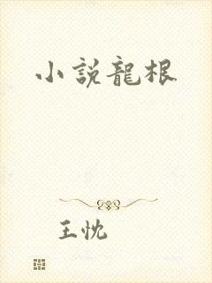 小说龙根