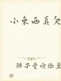 小东西真欠弄