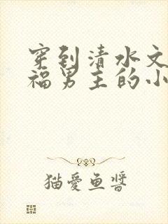 穿到清水文里造福男主的小说