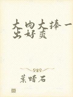 大肉大捧一进一出好爽