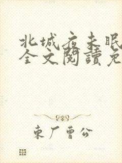 北城夜未眠小说全文阅读免费