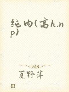 纯肉(高h.np)