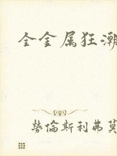 全金属狂潮小说封面