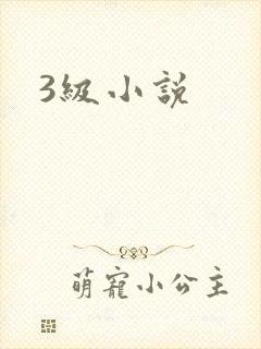 3级小说