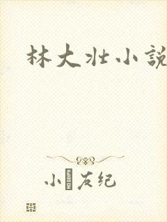 林大壮小说阅读