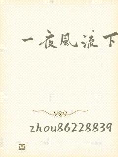 一夜风流下载