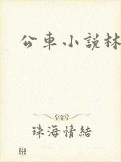 公车小说林蔓蔓封面