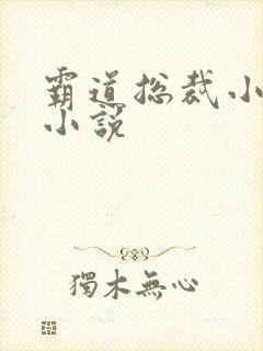 霸道总裁小娇妻小说