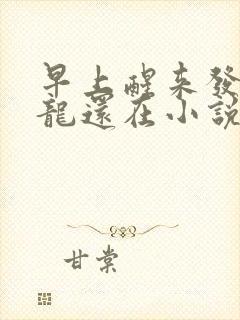 早上醒来发现巨龙还在小说