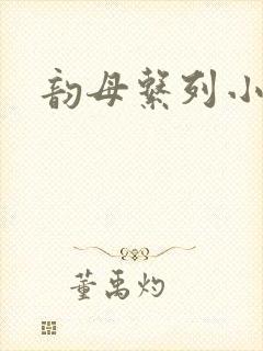 韵母系列小说封面