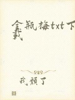 金瓶梅txt下载封面