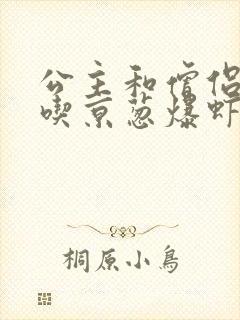 公主和僧侣 爱吃京葱爆虾的当归封面