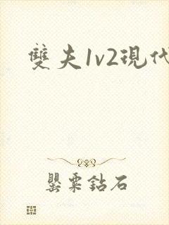 双夫1v2现代