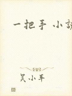 一把手 小说