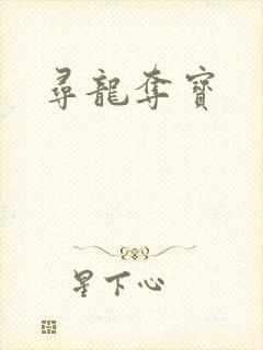 寻龙夺宝