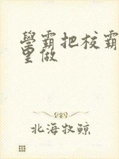 学霸把校霸往死里做