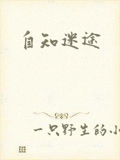自知迷途封面