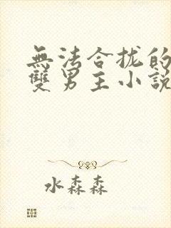 无法合拢的总裁双男主小说