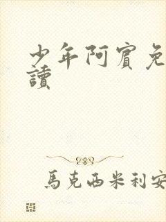 少年阿宾免费阅读