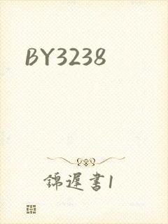 BY3238封面