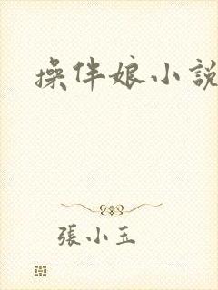 操伴娘小说封面