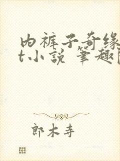 内裤子奇缘txt小说 笔趣阁