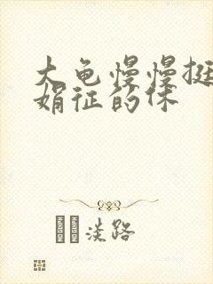 大龟慢慢挺进张娟征的休封面