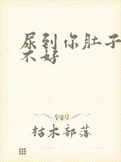 尿到你肚子里好不好封面