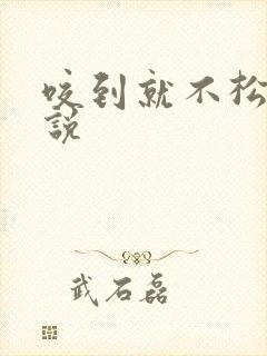 咬到就不松口小说