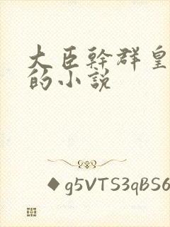 大臣干群皇太后的小说