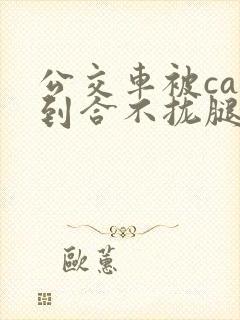 公交车被cao到合不拢腿视频