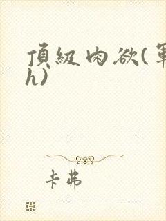 顶级肉欲(军高h)