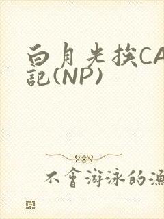 白月光挨CAO记(NP)