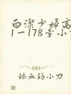 白洁少妇高义第1一178章小说封面