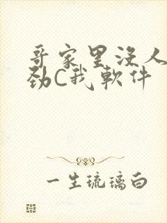 哥家里没人使点劲C我软件