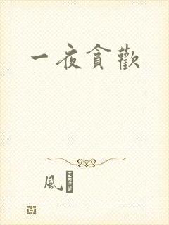 一夜贪欢