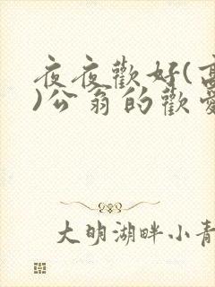 夜夜欢好(高h)公翁的欢爱h封面