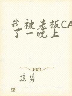 我被老板CAO了一晚上